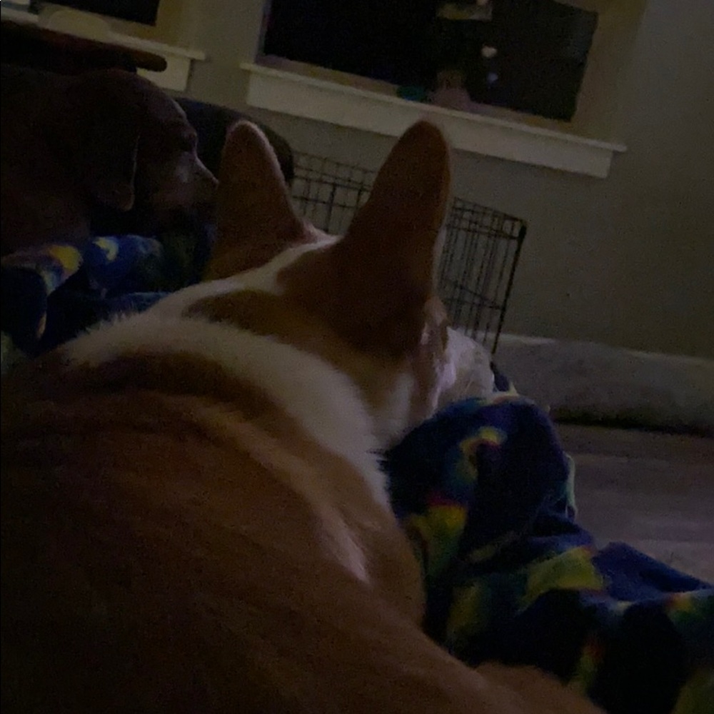 Meet your Posher, Caroline